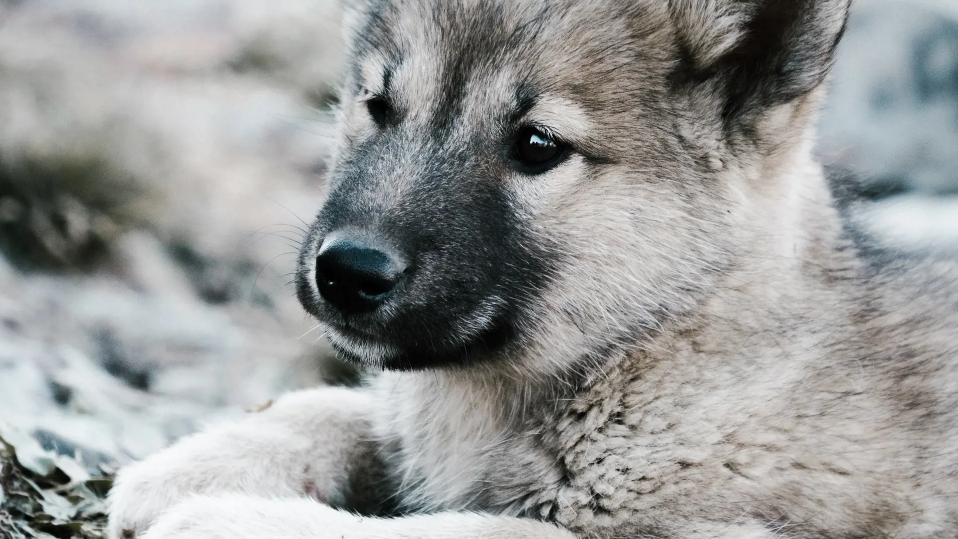 Annie Spratt Qux0kk2 Bvq Unsplash