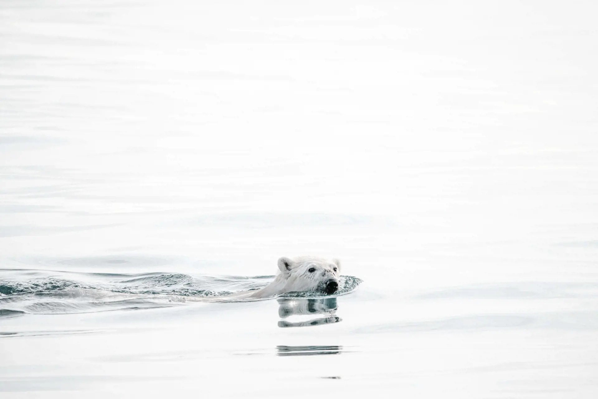 Annie Spratt F2m5uynt62u Unsplash