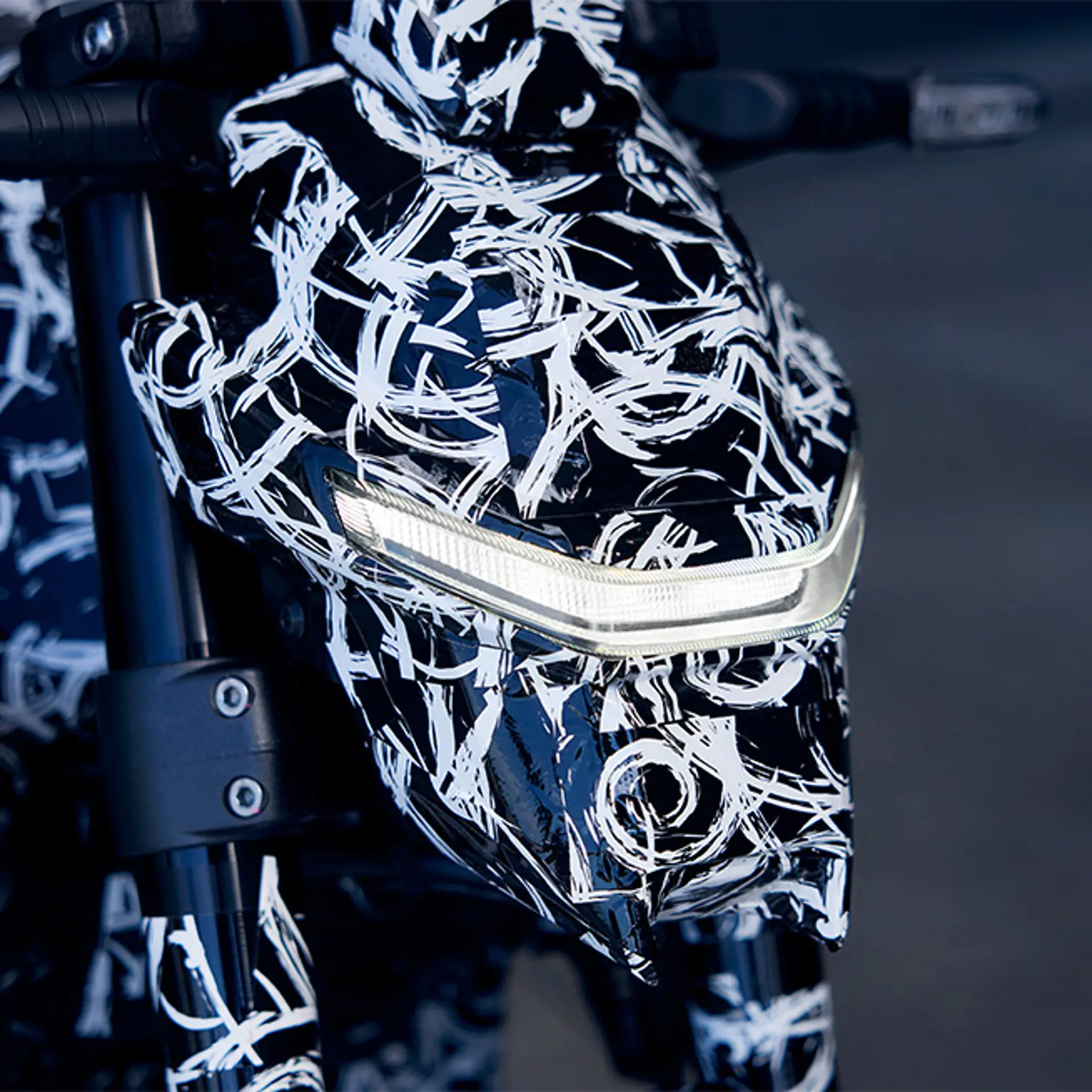 25YM EVF Teaser Details 0014