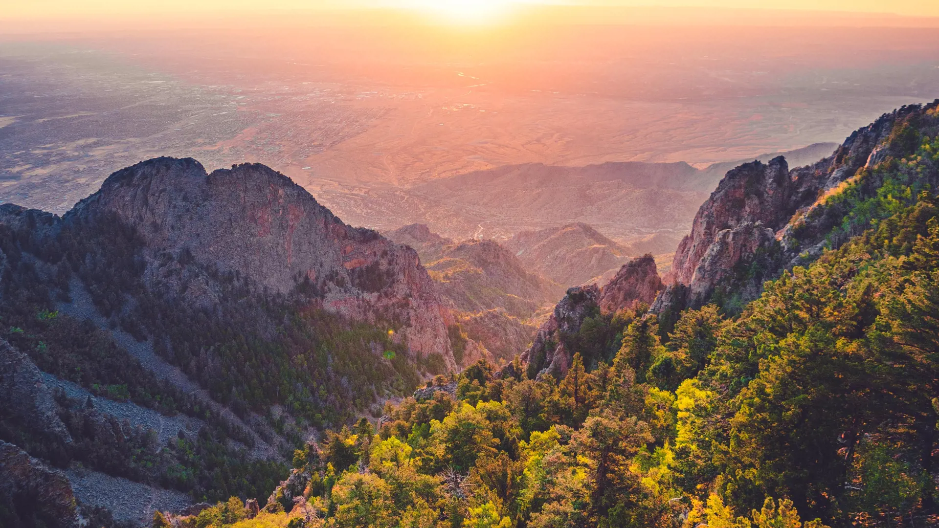 Pexels Ian Beckley 2440078