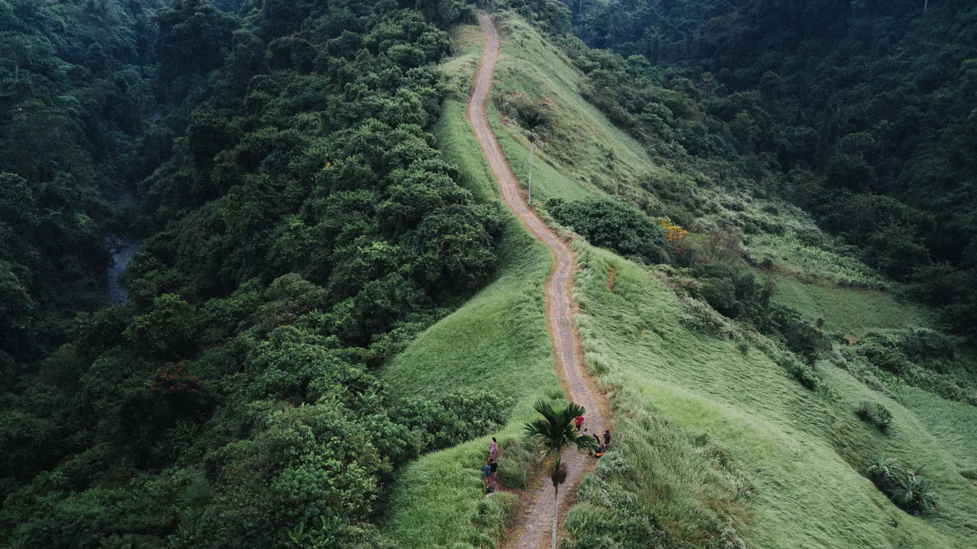 Justin Kauffman A8ltjwjjgla Unsplash