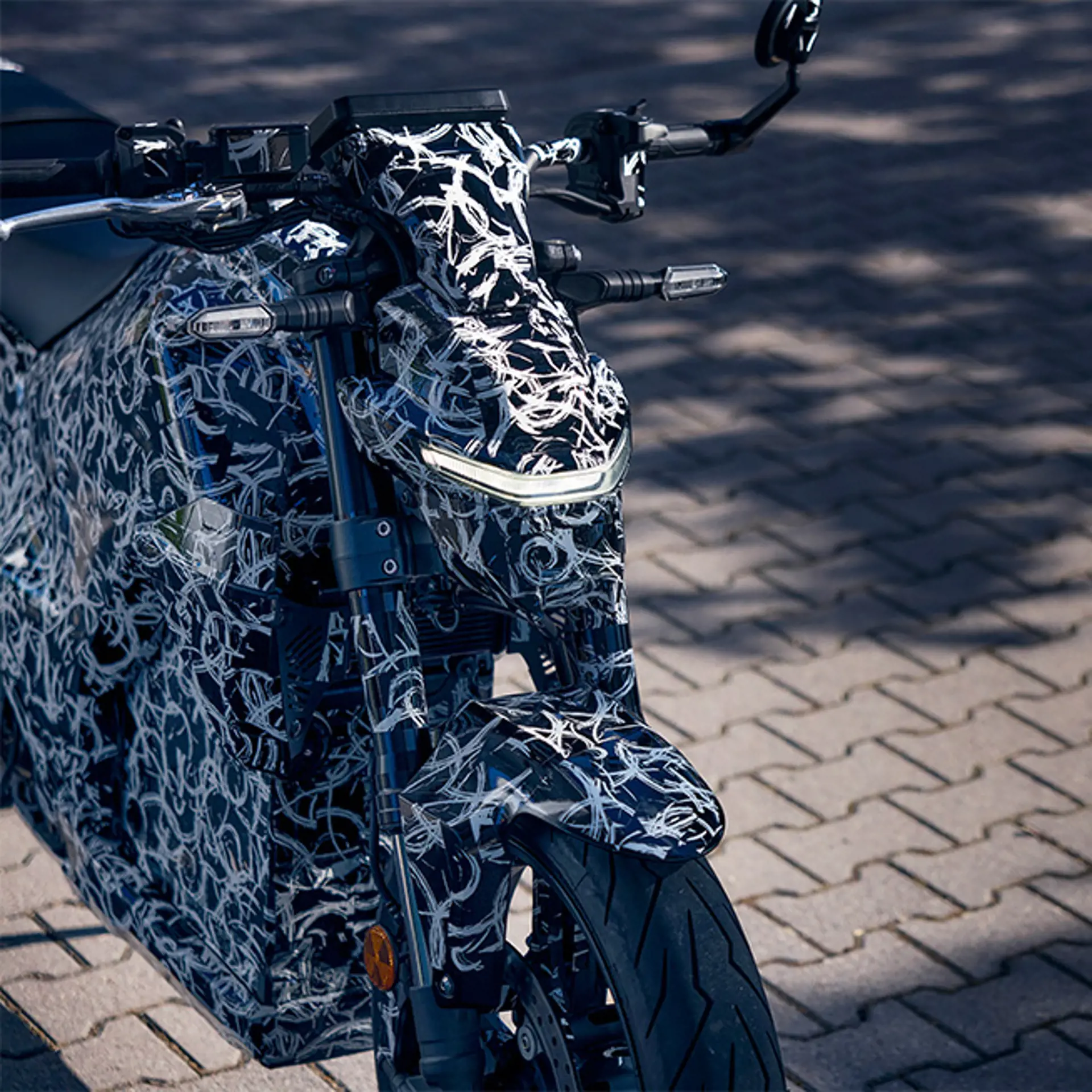 25YM EVF Teaser Details 0034